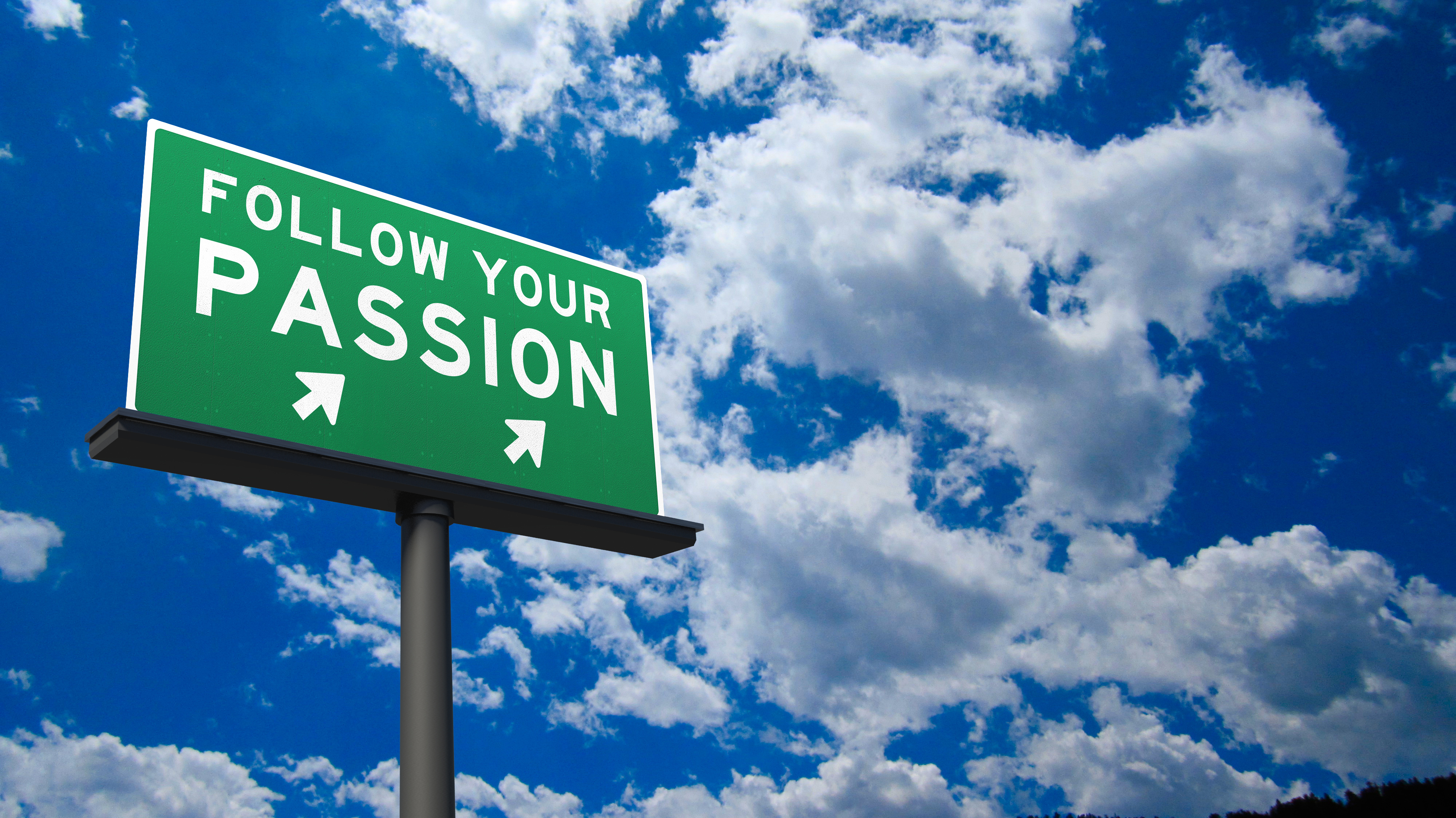 the-pursuit-of-passion