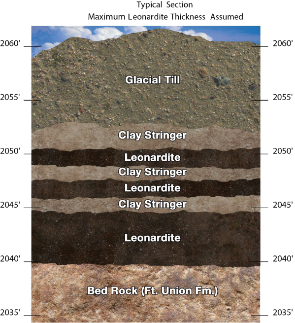 Leonardite Strata - Typical Section