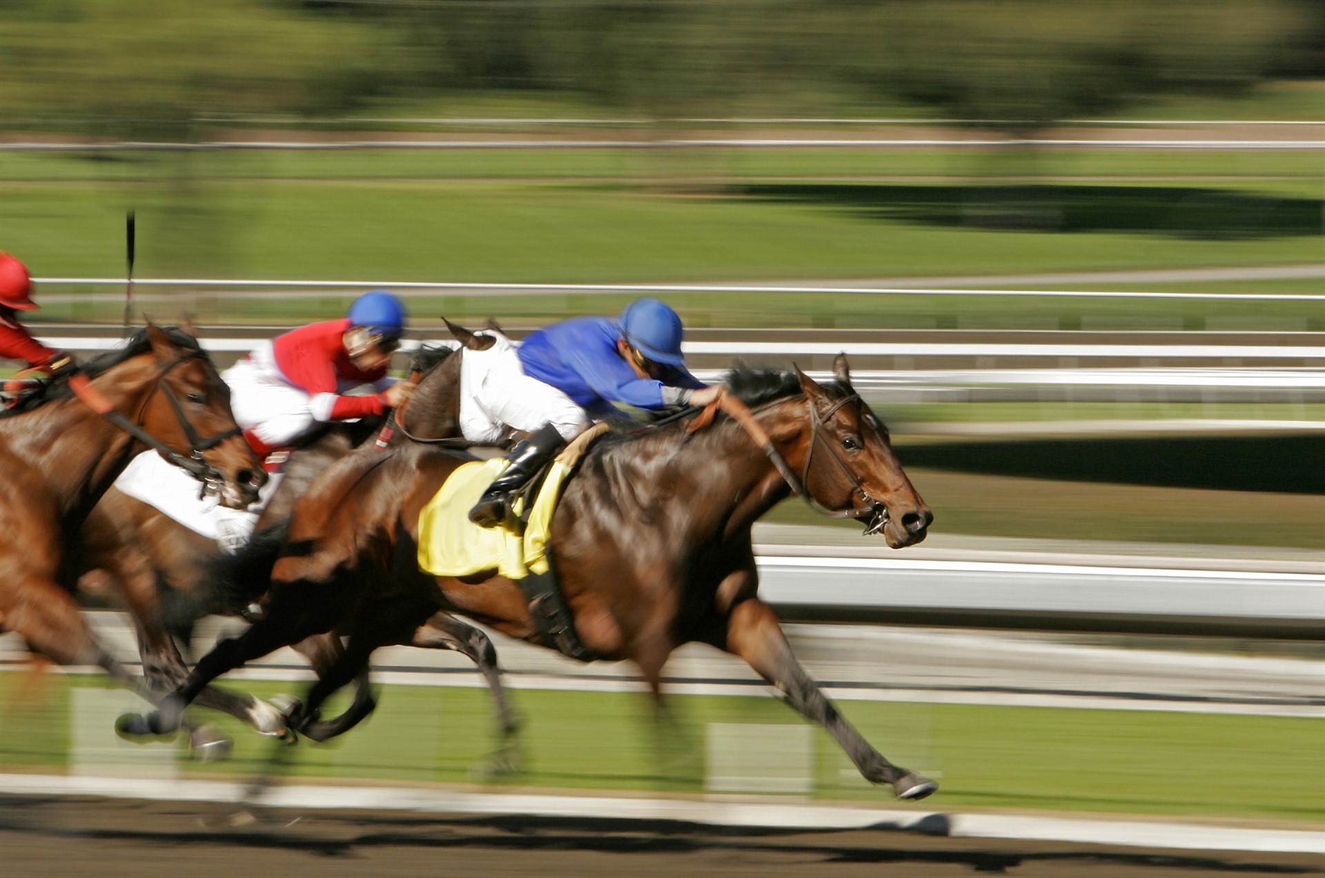Kentucky Derby Social