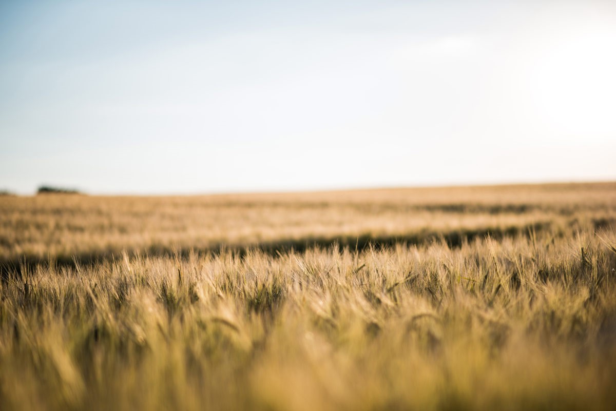 2023 Meal & Crop Insurance Update