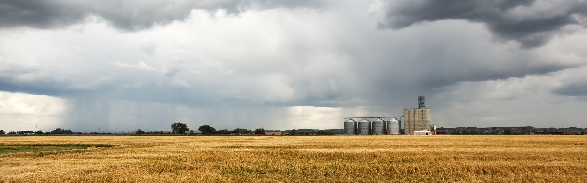 Field with Silos